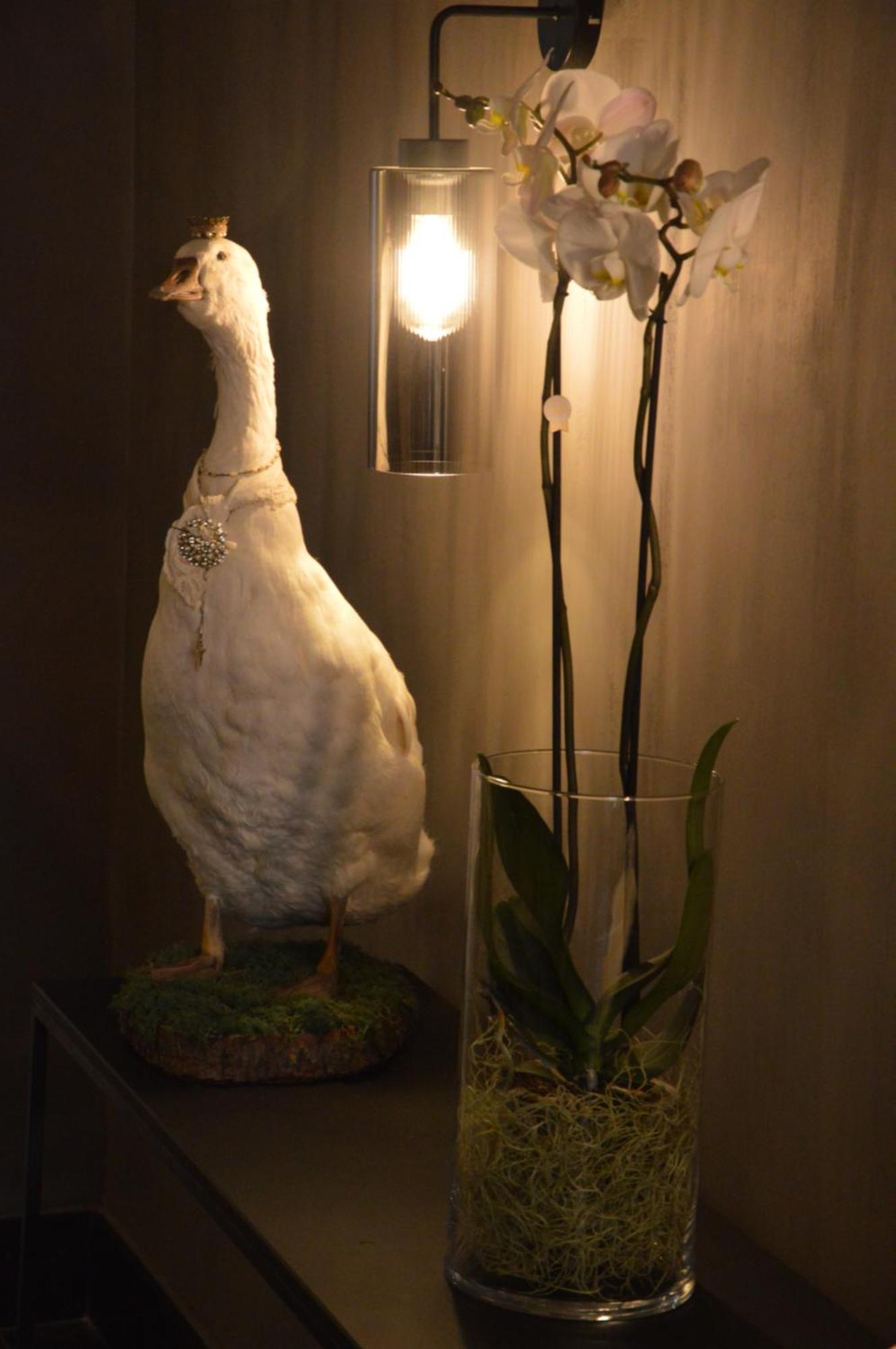 Couette-café Amato-brugge